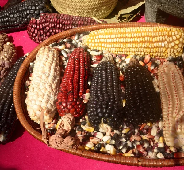 Meksika Mısır çeşitlilik, beyaz Mısır, siyah Mısır, mavi, kırmızı Mısır, vahşi Mısır ve Meksika'da yerel bir pazarda sarı mısır