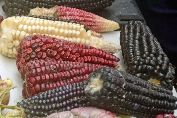 Meksika Mısır çeşitlilik, beyaz Mısır, siyah Mısır, mavi, kırmızı Mısır, vahşi Mısır ve Mexic yerel bir pazarda, sarı Mısır