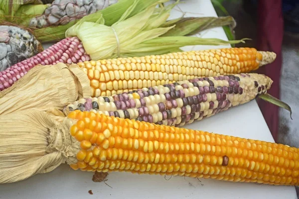 Meksika Mısır çeşitlilik, beyaz Mısır, siyah Mısır, mavi, kırmızı Mısır, vahşi Mısır ve Mexic yerel bir pazarda, sarı Mısır
