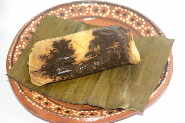 Traditionelle Mexikanische Maulwurfsauce Tamal Aus Oaxaca Auf Tonteller Zubereitet Mit — Stockfoto