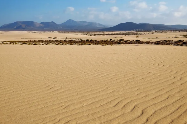 National park Corralejo on Fuerteventura, Spain. — Stockfoto
