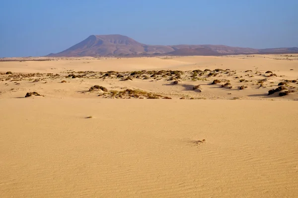 National park Corralejo on Fuerteventura, Spain. — Stock Photo, Image