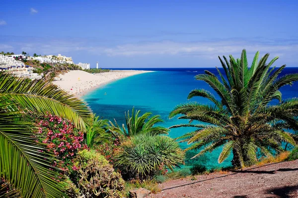 Plaja Playa de yarın Jable. Fuerteventura, İspanya.