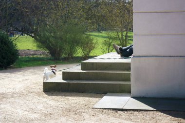 Rahat köpek sahibi bir bina bir parkta ölçeklerde köpeğiyle.