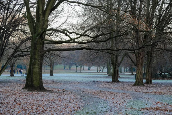 Parco invernale in Germania . — Foto Stock