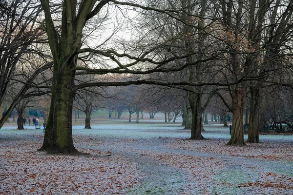 Parque de invierno en Alemania . —  Fotos de Stock