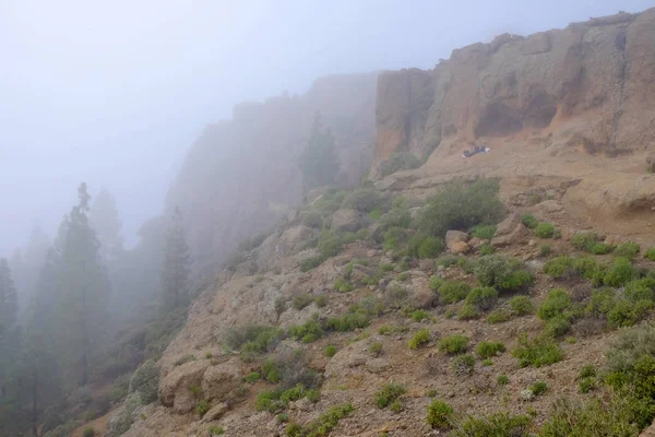 Βουνά κλειστά Roque Nublo σε ένα σύννεφο στην Γκραν Κανάρια, Ισπανία. — Φωτογραφία Αρχείου