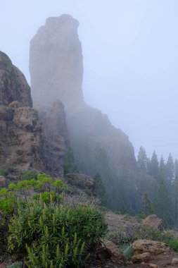 Ünlü rock Roque Nublo Kanarya Adası Gran Canaria, İspanya üzerinde görüntüleyin.