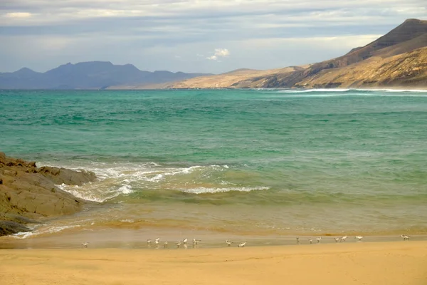 Pohled na pláž Cofete na Kanárské ostrov Fuerteventura, Španělsko. — Stock fotografie