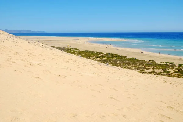 Beach Playa de Sotavento on Fuerteventura, Spain - 16.02.2017. — 图库照片
