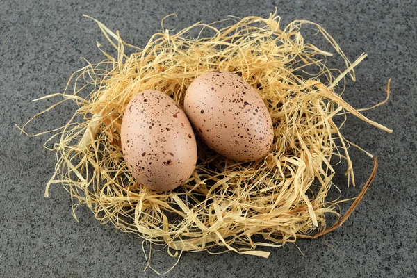 Two quail easter eggs on  hay. — Stock Photo, Image