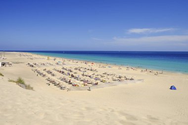 Beach Playa de Morro Jable on Fuerteventura, Spain. clipart
