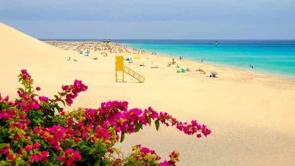 查看上海滩 Playa de Matorral 在富埃特文图拉，西班牙. — 图库照片