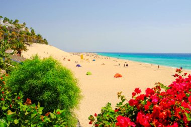MORRO JABLE FUERTEVENTURA, SPAIN - 12 OCTOBER 2017: Beach Playa del Matorral.