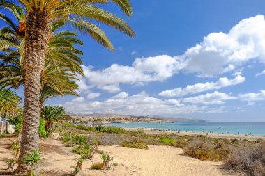Beach Costa Calma Kanarya Adası Fuerteventura, İspanya.