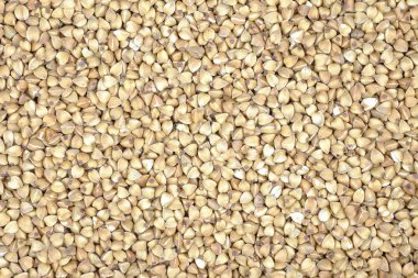 Makro kuru siyah fasulye.