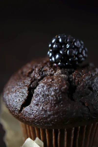 Muffin de chocolate decorado con mora . — Foto de Stock