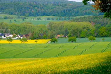 Almanya 'daki Bad Pyrmont tarım alanlarına bir göz at.