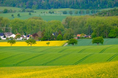 Almanya 'daki Bad Pyrmont tarım alanlarına bir göz at.