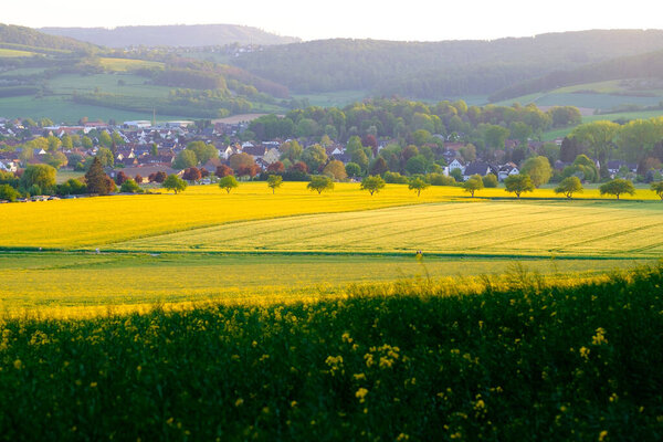 Beautiful landscape with view of the rapeseed fields and the small German town of Bad Pyrmont.