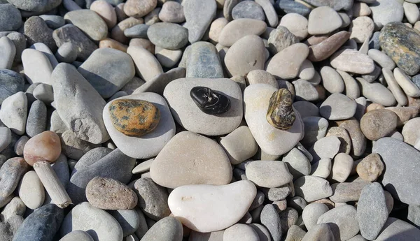 Matte Und Glänzende Kieselsteine Strand Einem Sonnigen Tag — Stockfoto