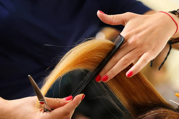 Female hairdresser hold in hand between fingers lock of blonde h — Stock Photo, Image