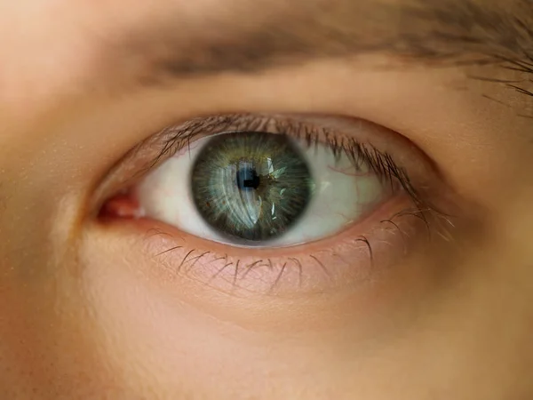 Manliga Vänster Smaragd Gröna Färgade Ögon Extrem Närbild Oculist Och — Stockfoto