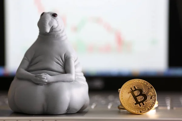 Minsk, Beyaz Rusya - Nisan 02,2018: şahsiyet loxodontus