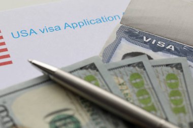 Usa vize başvuru formu