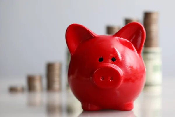 Container for cash and earnings — Stock Photo, Image