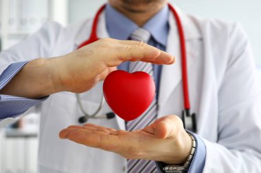 Erkek doktor el ele tutuşup kırmızı oyuncak kalbi kapatıyor.