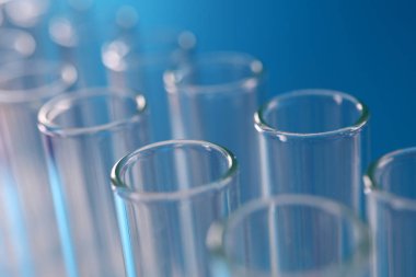 Laboratuvarda sıraya dizilmiş test tüpleri