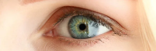 女性左眼灰绿色，迷人的眼睛 — 图库照片