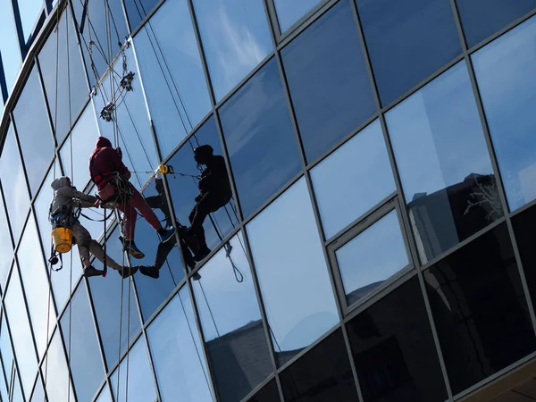 People professionally work at height wash windows
