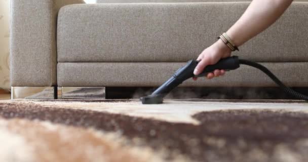 Femme de ménage homme nettoyage de la main tapis avec brosse à vapeur — Video