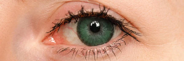 Œil bleu gauche féminin teinté en vert avec lentille de contact spéciale — Photo