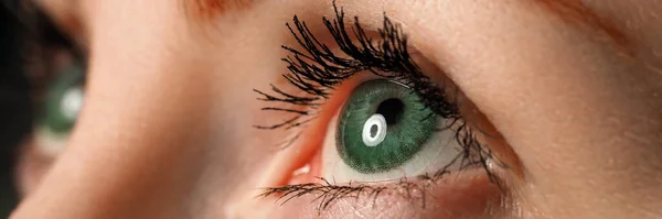 Olho azul esquerdo feminino matizado em cor verde com lente de contato especial — Fotografia de Stock