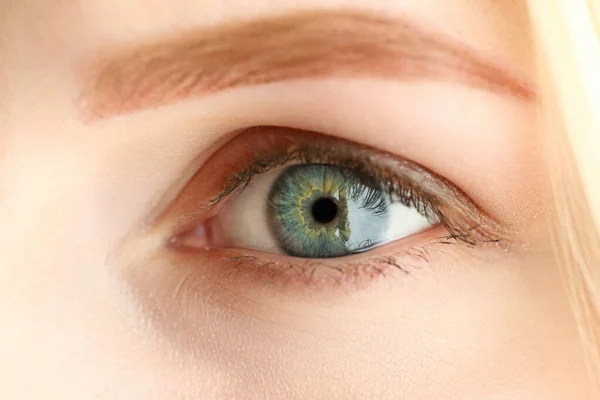 Mujer izquierda gris verde coloreado ojo increíble — Foto de Stock