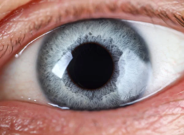 Hombre izquierdo azul gris ojo de color extremo primer plano — Foto de Stock