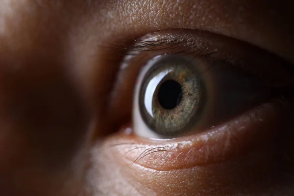 Ojo izquierdo de color verde gris masculino en técnica de poca luz — Foto de Stock