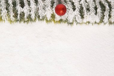 Tek kırmızı süs ve çam arka plan