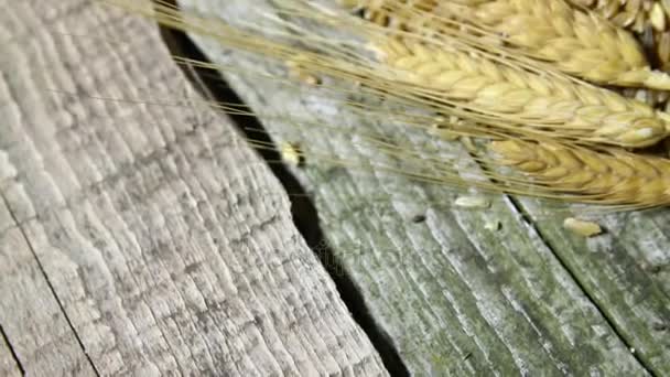 小麦頭と袋 — ストック動画