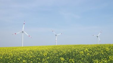 Kanola alan Rüzgar türbinleri