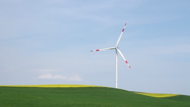 Wind turbine on green grass — Stock Video