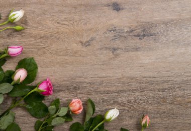 çiçek tematik tebrik kartı