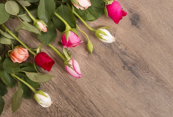 Placa de cartón vacía y rosa — Foto de Stock