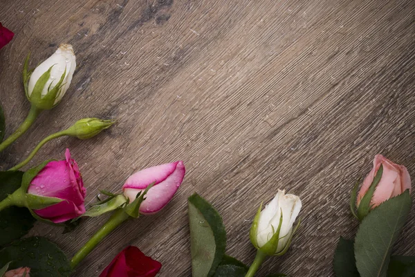 Marco de rosa y fondo de madera — Foto de Stock