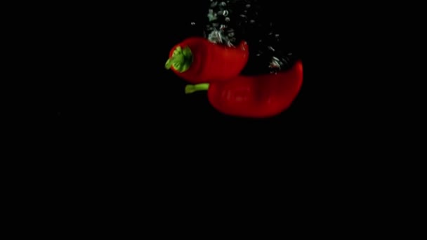 Красный Перец Льется Воду Темном Фоне — стоковое видео