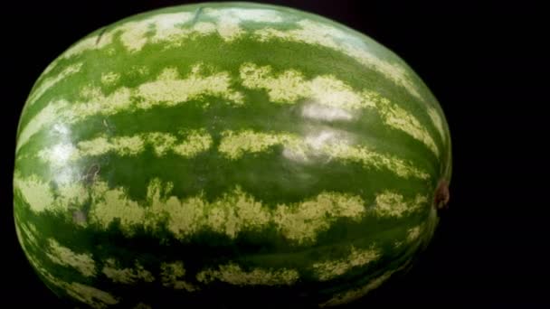 Vattenmelon på svart bakgrund — Stockvideo
