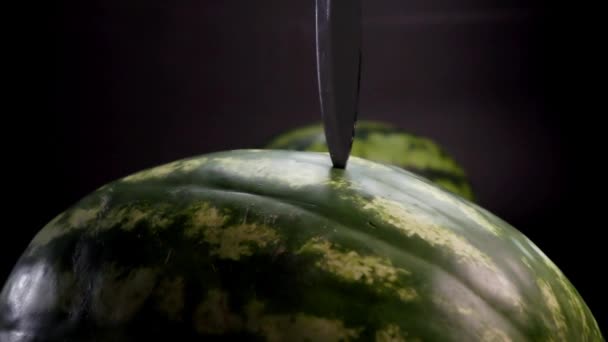 Mans hand cutting huge watermelon — Stock Video